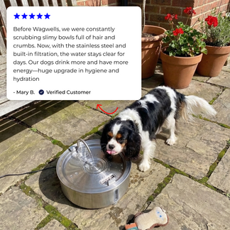 Protect your dog from UTIs, Stones, and Kidney Disease with WagWells