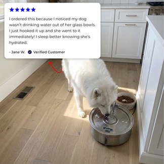 Protect your dog from UTIs, Stones, and Kidney Disease with WagWells